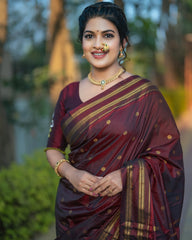 Soft Silk Paithani saree