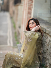 Olive Green Net Embroidered Suit with Palazzo & Dupatta AllTreandy