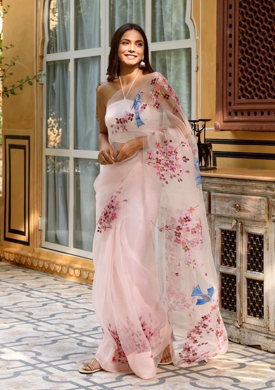 Soft pure organza handwork sarees